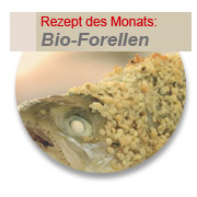 Hanf-Rezept